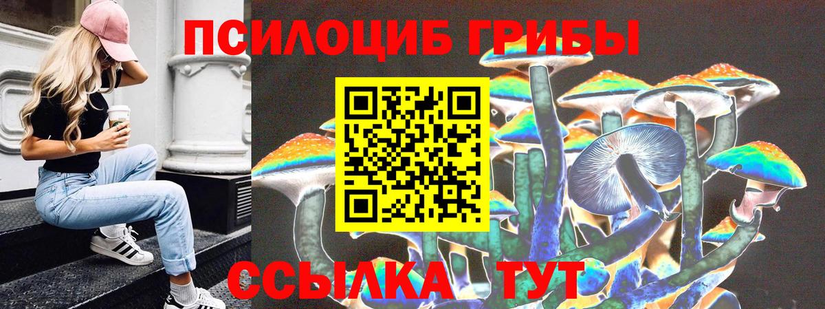 Кирово-Чепецк  Галлюциногенные грибы Magic Shrooms  Вход с VPN 